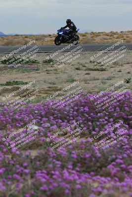 media/Jan-14-2023-SoCal Trackdays (Sat) [[497694156f]]/Turn 14 Exit Bloomig (145pm)/